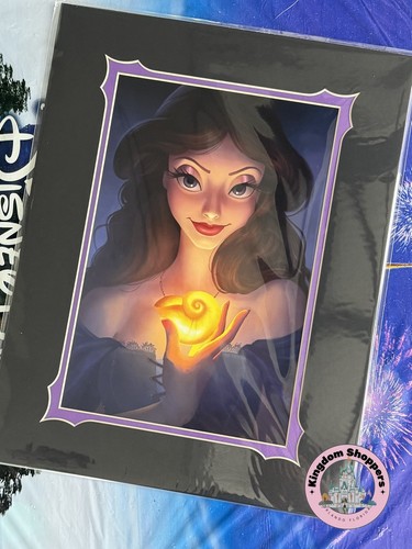 2026 disney parks - parks, bonner